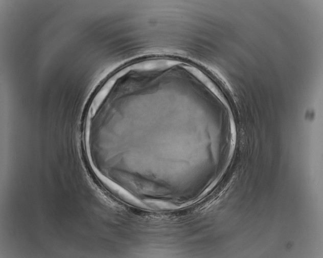 X0000095120895200712301757