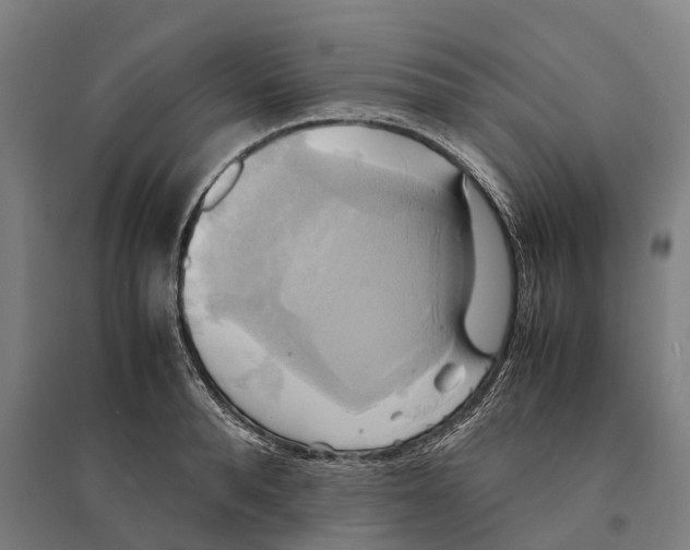 X0000095120896200712301757