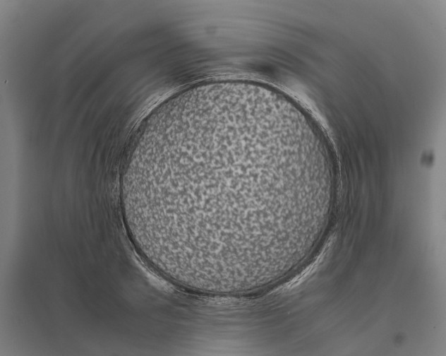 X0000095120897200712301757