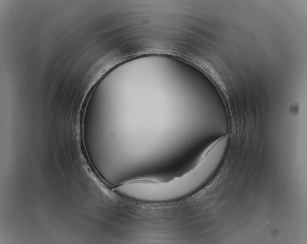 X0000095120898200712301757