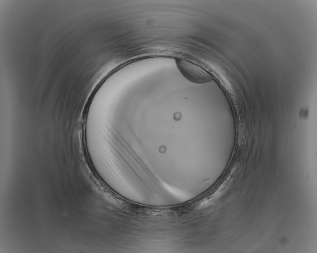 X0000095120899200712301757