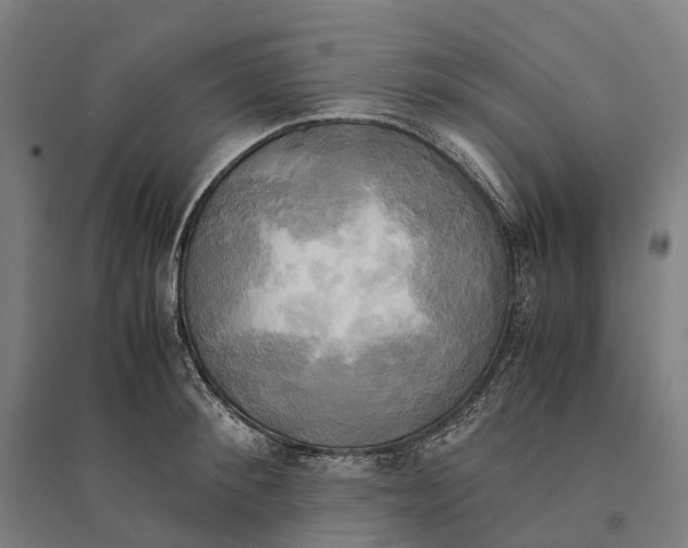 X0000095120900200712301757