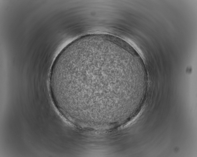 X0000095120901200712301757