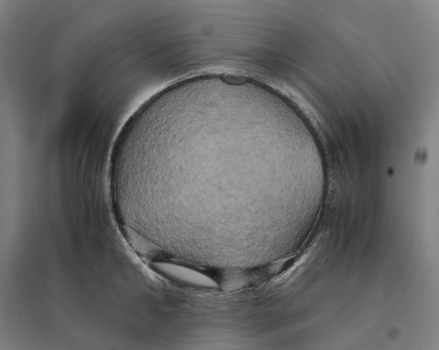 X0000095120902200712301757