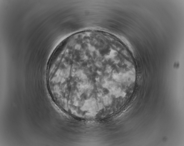 X0000095120903200712301757