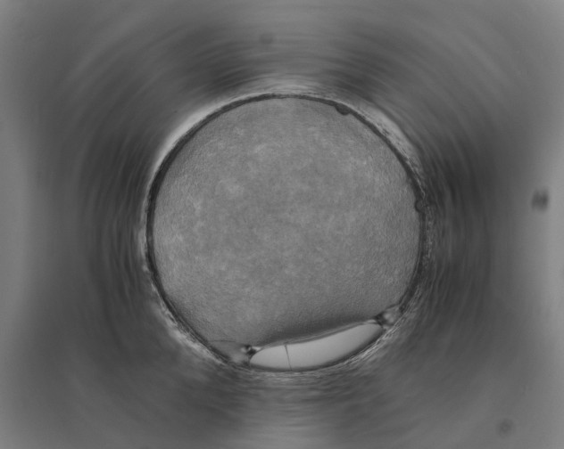 X0000095120904200712301757