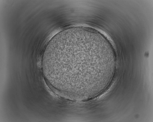 X0000095120905200712301757