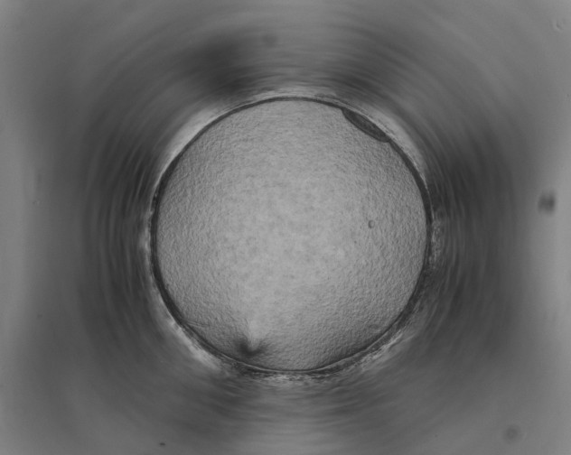 X0000095120906200712301757