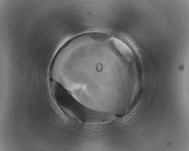 X0000095120907200712301757