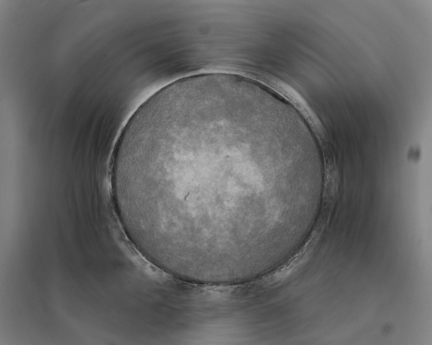 X0000095120908200712301757