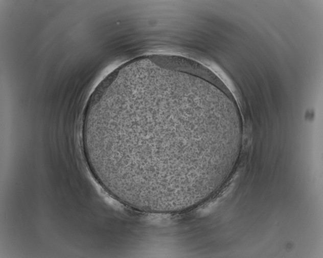 X0000095120909200712301757