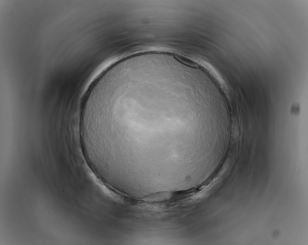 X0000095120910200712301757