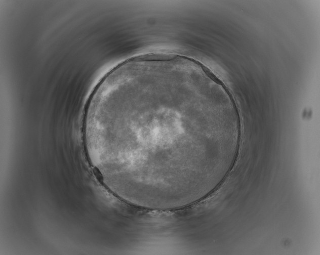 X0000095120912200712301757