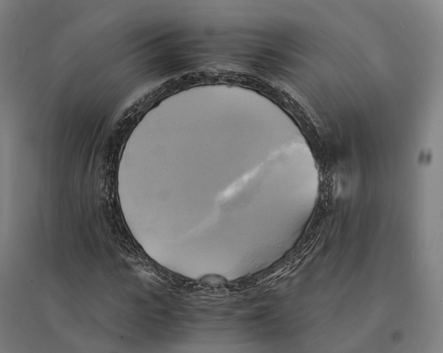 X0000095120919200712301757