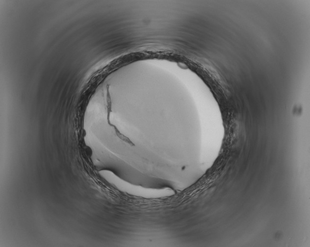 X0000095120920200712301757