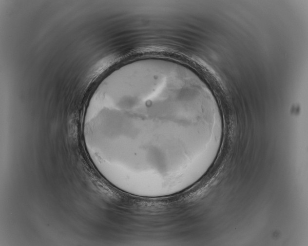 X0000095120921200712301757