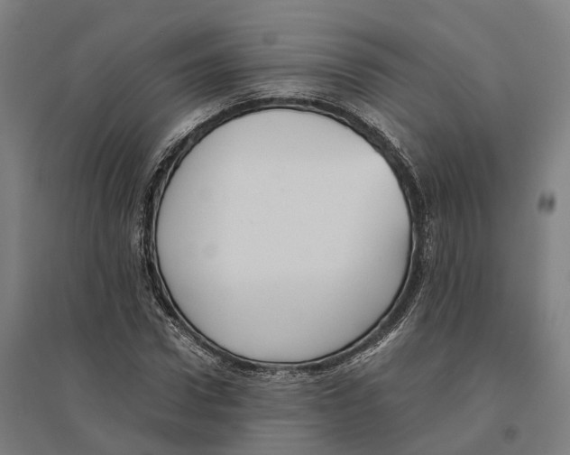 X0000095120922200712301757