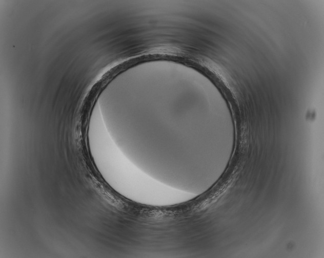 X0000095120923200712301757