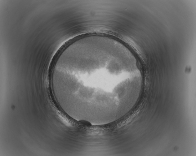 X0000095120924200712301757