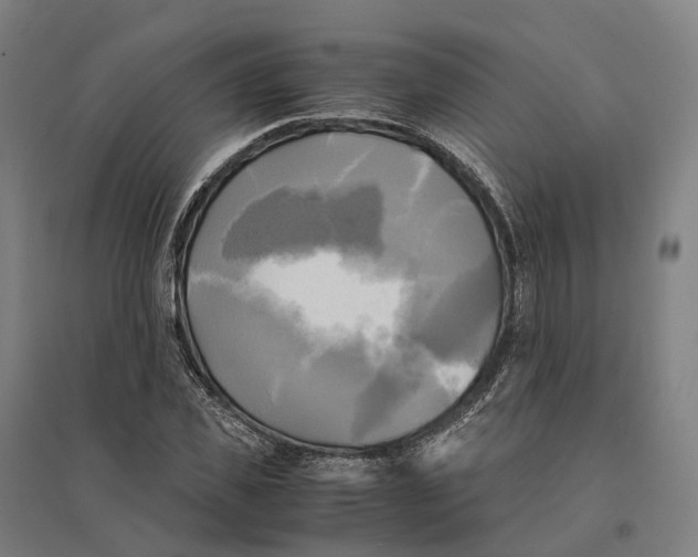 X0000095120925200712301757