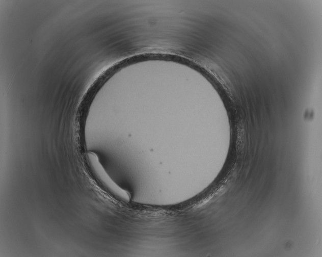 X0000095120926200712301757