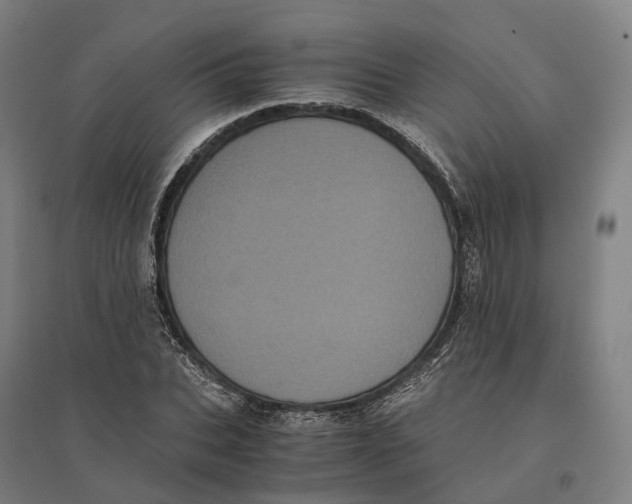 X0000095120927200712301757