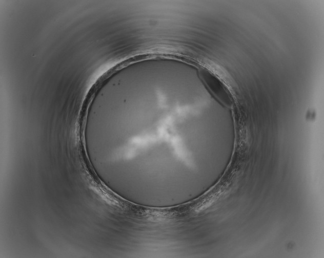 X0000095120928200712301757