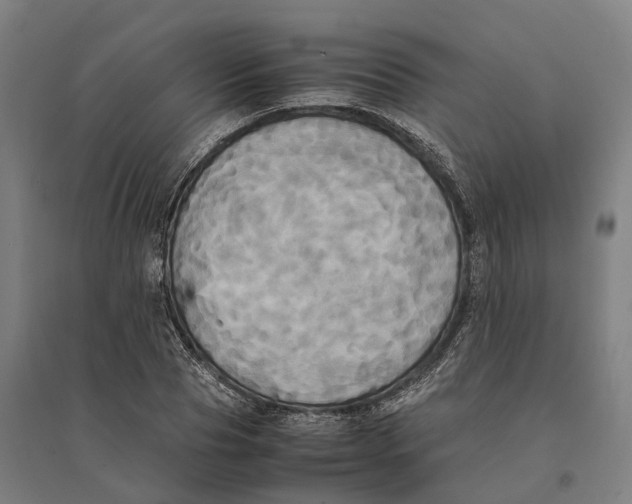 X0000095120929200712301757