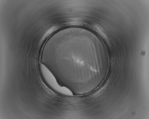 X0000095120930200712301757