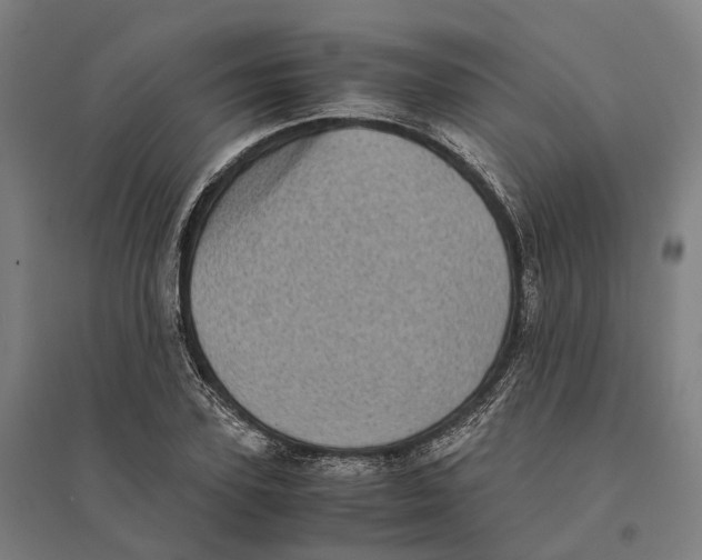 X0000095120931200712301757