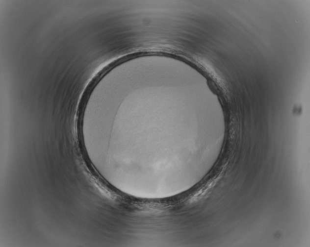 X0000095120932200712301757