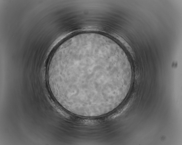 X0000095120933200712301757