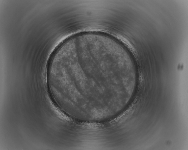 X0000095120934200712301757