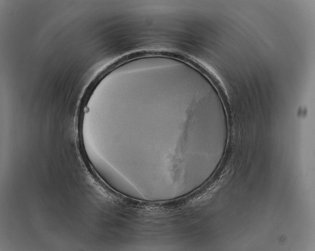 X0000095120935200712301757