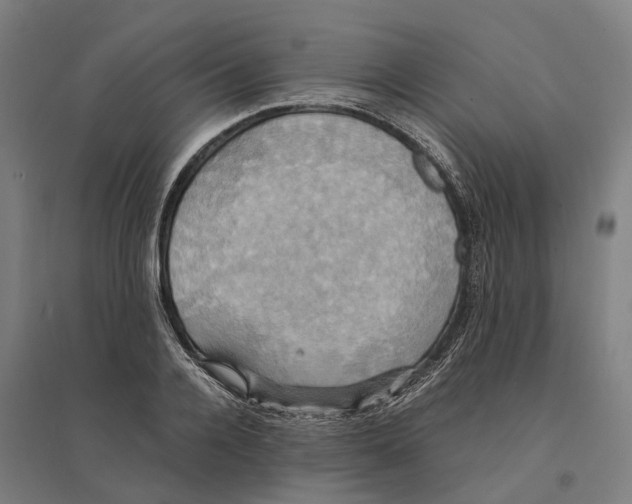 X0000095120936200712301757