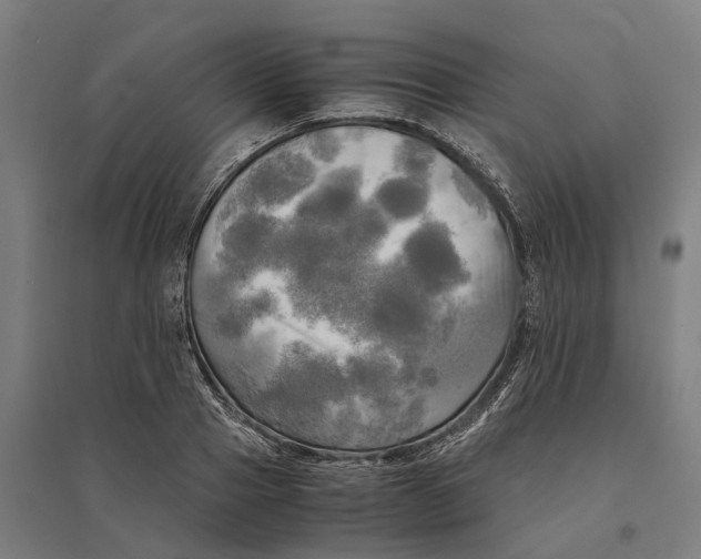 X0000095120937200712301757