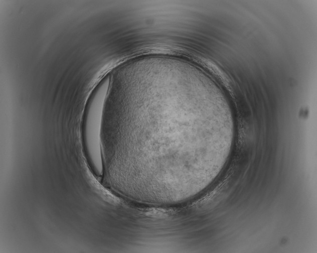 X0000095120938200712301757