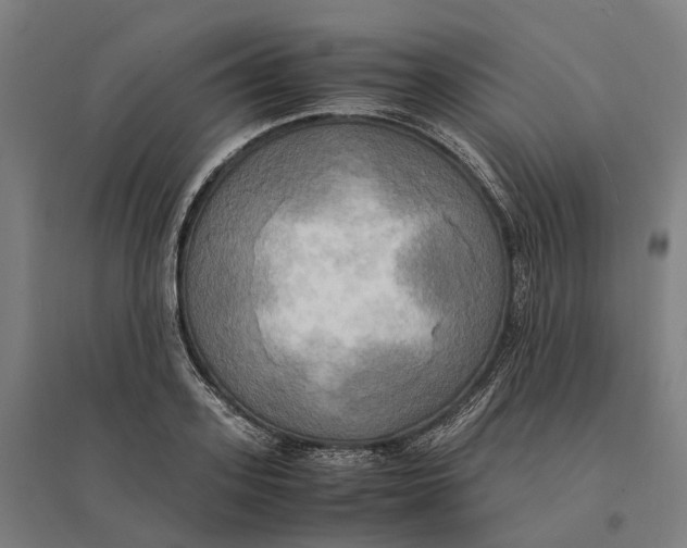 X0000095120939200712301757