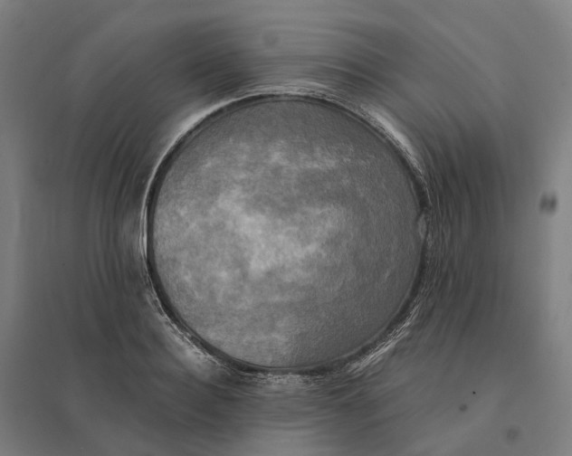 X0000095120940200712301757