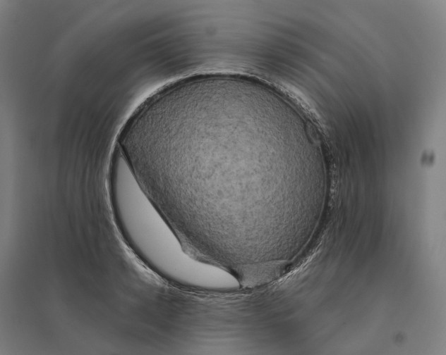 X0000095120942200712301757