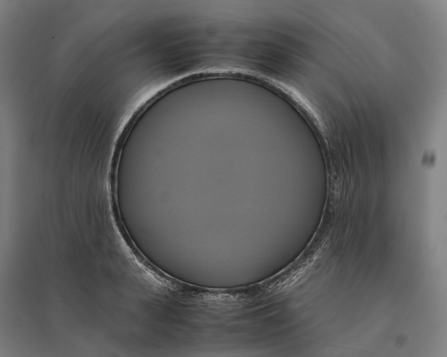 X0000095120943200712301757