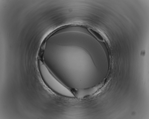 X0000095120944200712301757