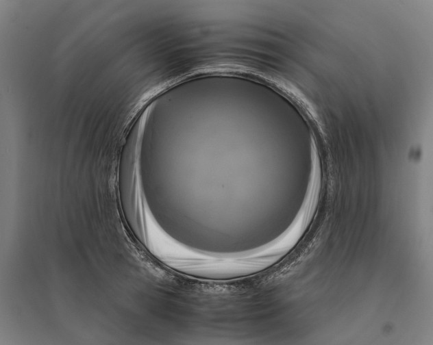 X0000095120945200712301757