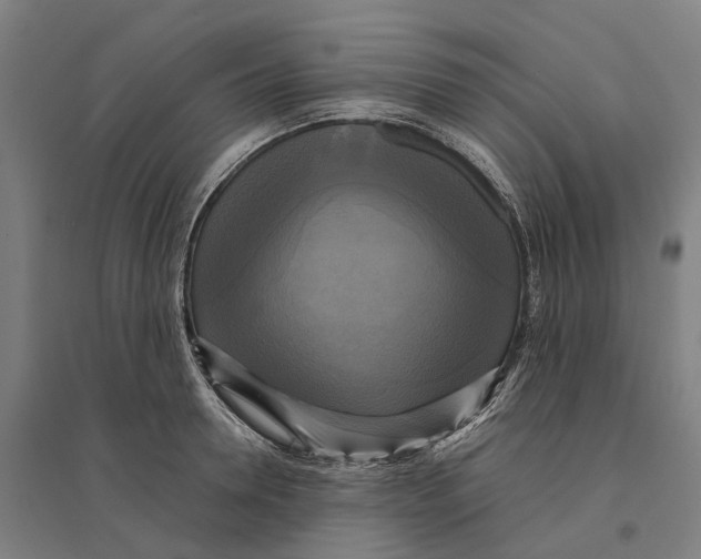 X0000095120946200712301757