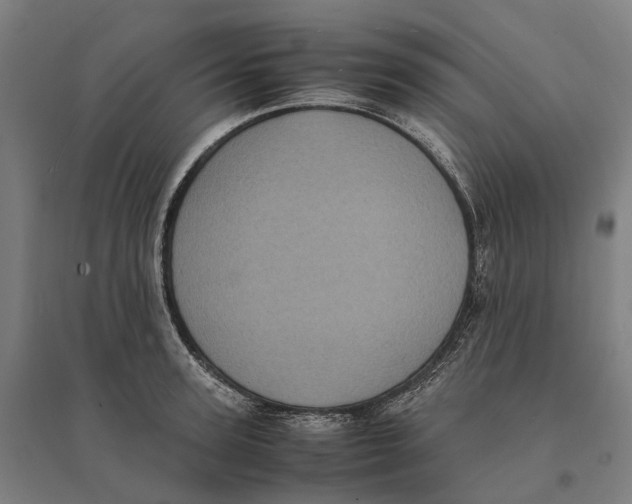 X0000095120947200712301757