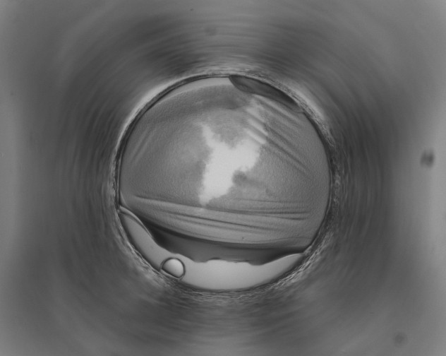 X0000095120948200712301757