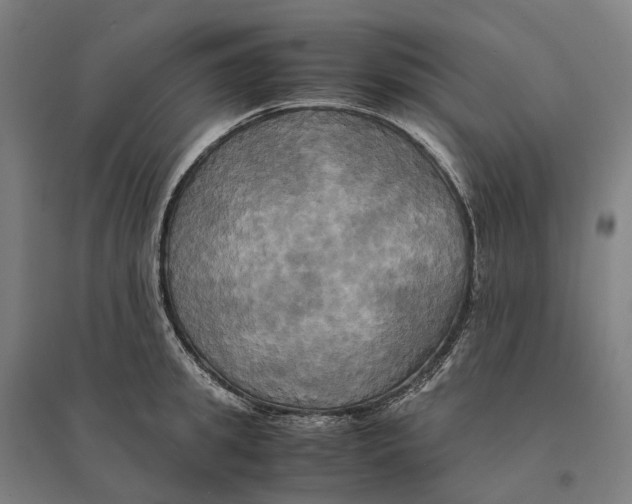 X0000095120949200712301757