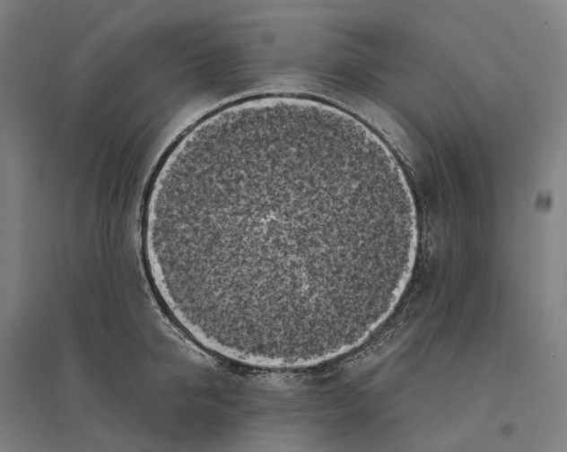 X0000095120950200712301757