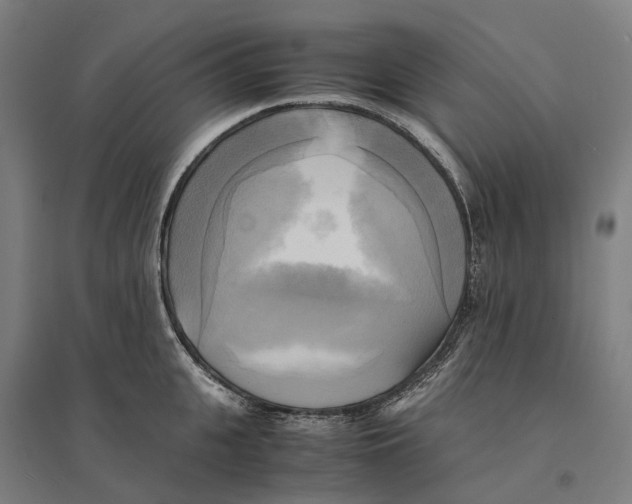 X0000095120951200712301757