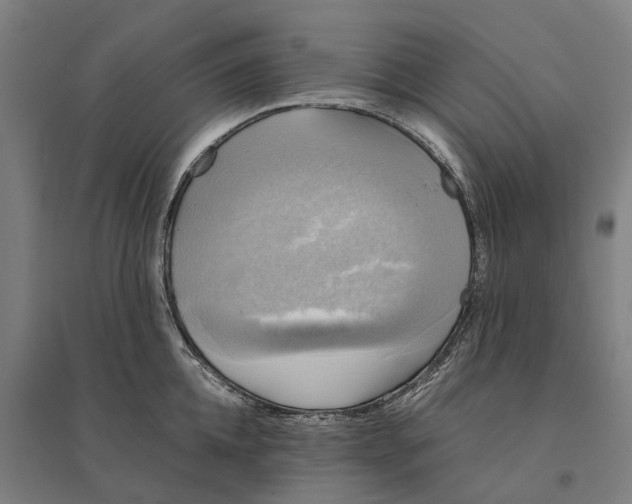 X0000095120952200712301757